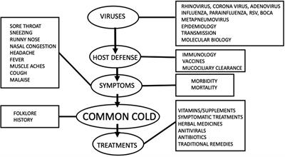 Common cold
